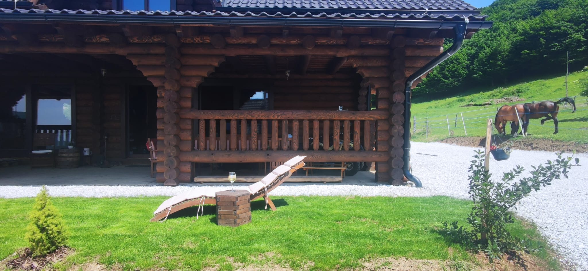 Terrasse avec transat et chevaux dans le pré